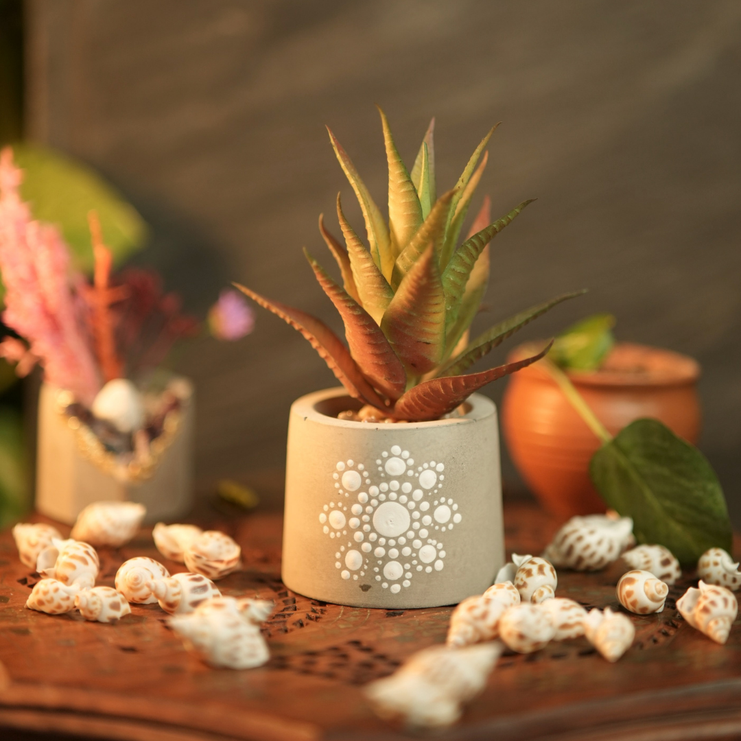 Shop Handmade Concrete Planters with Mandala Dots – Hand-Painted & Unique Design